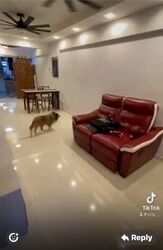 Blk 166 Woodlands Street 13 (Woodlands), HDB 3 Rooms #581357901